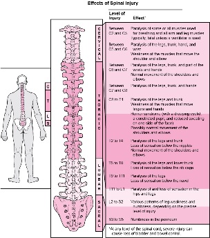 Maladies du corps associées à des lésions de diverses parties de la colonne vertébrale